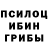 Псилоцибиновые грибы Psilocybe linkis